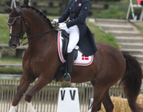 Caroline Bording Smidt on Donna Charian