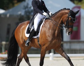 Danish Emilie Holm Toft on Ramia Lox (by Romanov)