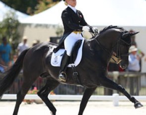 Anna Zibrandtsen and Detroit. The black stallion was one of three (!!) Dimaggio offspring making it to the Young Riders Kur finals. Duela and Donna Summer were the other two