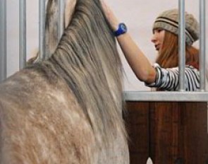 The miracle of meeting a horse