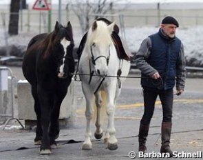 Peter Pfister and his horses on their way to work on  a cold "winter" morning