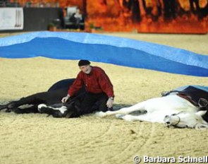 Peter Pfister working with his horses