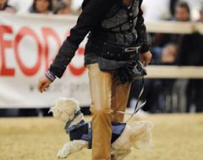 Where there are horses, there are dogs: one of Linda Tellington-Jones' practitioners showing her work with dogs