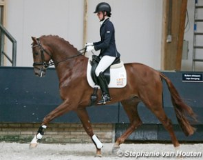Foundation (by Amazing Star x Jazz) :: Photo © Stephanie van Houten