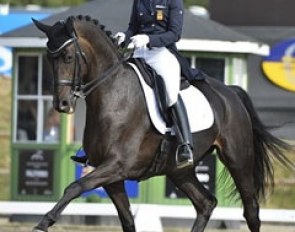 Morgan Barbançon Mestre and Heimliche Liebe at the 2013 CDI Falsterbo :: Photo © Ridehesten.com