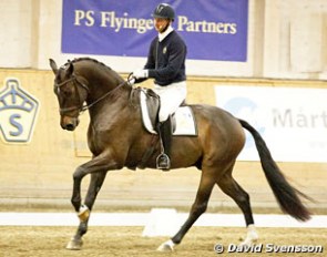Test rider Patrik Kittel assessing the 4-year old winner Revolution (by Skovens Rafael x Don Schufro) at the 2013 Swedish Young Horse Championships in Flyinge :: Photo © David Svensson