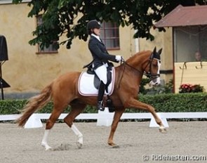 Victoria Vallentin and Not For Sale at the 2013 Nordic Baltic Championships in Flyinge, Sweden :: Photo © Ridehesten.com