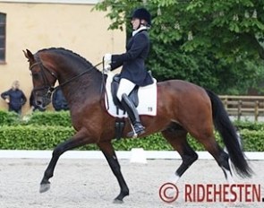 Sandra Sterntorp and Rausing at the 2013 Swedish WCYH Selection trial in Flyinge :: Photo © Ridehesten.com