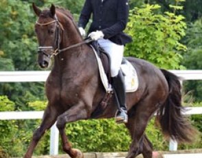 Frederic Wandres and Fiderdance :: Photo © Pics 4 Emotions - courtesy Bonhomme
