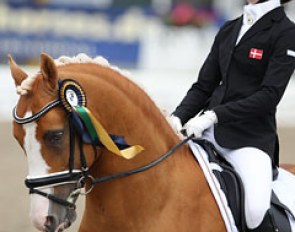 Sandra Aagaard Hyrm on Der Harlekin B