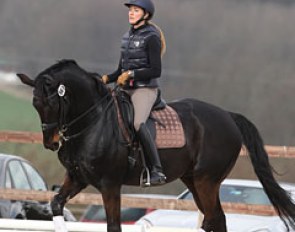 Russian Diana al Shaer schooling the 14-year old Danish bred Oldenburg gelding Ulan Raevdal (by Urprinz x Sokrates)