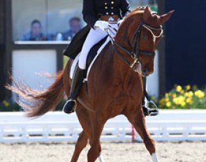 Danish Maria Anita Andersen on the Oldenburg mare Rebelle (by Don Schufro x Regazzoni), who was the 2007 Oldenburg Elite Mare Champion