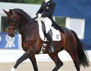 Claire Louise Averkorn on Condio B