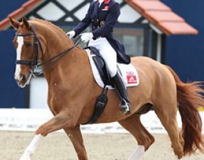 Laura Tomlinson-Bechtolsheimer on Mistral Hojris at the 2013 CDI Hagen :: Photo © Astrid Appels