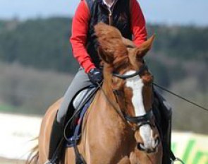 Laura Tomlinson having fun on Mistral Hojris at the 2013 CDI Hagen :: Photo © Barbara Schnell