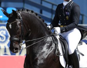 Australian Hayley Beresford is presenting Genevieve Kirk's Swedish bred First Wish (by Furst Heinrich x Welton) at a few small tour competitions before young rider Kirk takes over the ride.
