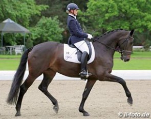 Hayley Beresford and Rebana W competing at the 2013 CDN Hagen :: Photo © LL-foto