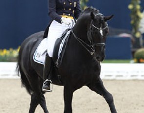 Alexandra Bimschas on the ponyesque Oldenburg bred Dick Tracy (by De Niro x Argentinus)
