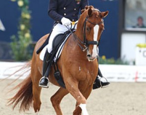 Dutch Seth Boschman on the 13-year old Dutch bred Twister (by Krack C x Samber)