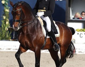 Matthias Bouten on the Austrian owned Ehrengold