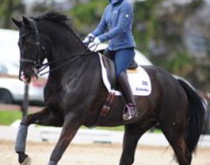 Nadine Capellmann training her new Grand Prix horse Dark Dynamic (by Don Vino)