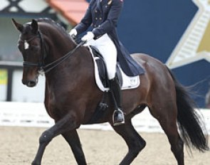 Camilla Christensen on Traneenggaards Akondo (by Come Back II x Andiamo) :: Photo © Astrid Appels