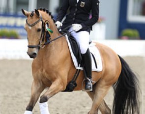Hannah Cichos and Massimiliano at the 2013 CDIO-P Hagen :: Photo © Astrid Appels