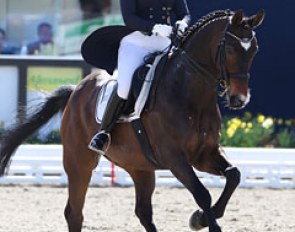 Charlotte Dassler on William (by Welt Hit I x Rasso)