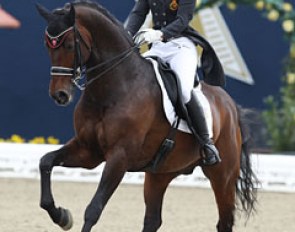 Belgian Julie de Deken gaining mileage on the international Grand Prix scene aboard her rising star Lucky Dance (by Lucky Lionell x Placido Sun)