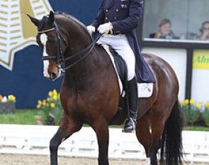 Australian Matthew Dowsley on PSI De Caprio (by De Niro)