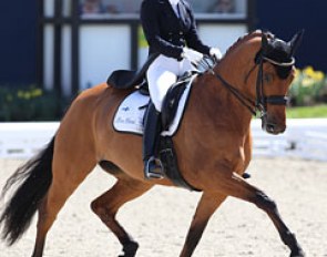 Finnish Stella Hagelstam on the gifted but sensitive Finnish warmblood mare New Hill Julitrea (by Revan x Alcatraz)