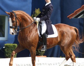 Jan Hermann and D'Accord in the Under 25 class at the 2013 CDI Hagen :: Photo © Astrid Appels