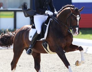 Marcus Hermes on Nancy Gooding's Hanoverian stallion Flynn (by Falsterbo x Walt Disney)
