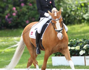 Sandra Aagaard Hyrm on Der Harlekin B at the 2013 CDIO-P Hagen :: Photo © Astrid Appels