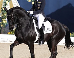 Ingrid Klimke and Dresden Mann in the Louisdor Cup at the 2013 CDI Hagen :: Photo © Astrid Appels