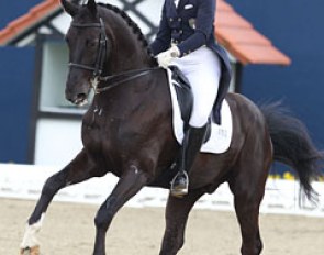 Italian Pia Laus-Schneider on the Oldenburg gelding Worchester (by Weltblick x Contango)