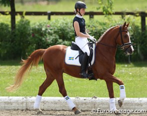 Jennifer Lyndvall on Hynder Hoeve's Ramses