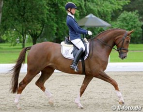 Eva Möller and Bella Donna at the 2013 Bundeschampionate qualifier in Hagen :: Photo © LL-foto.de
