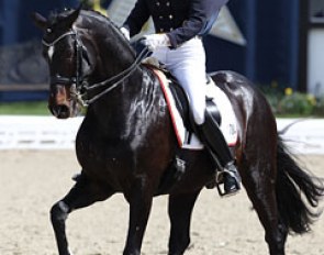 Susan Draper-Pape on Desiderio (by Dimaggio x Donnerhall x Classiker)