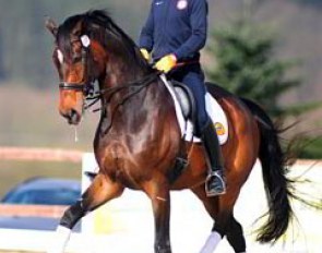 Steffen Peters training Legolas