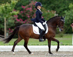 Joelle Peters and Haasendonck's Sultan at the 2013 CDIO-P Hagen :: Photo © Astrid Appels