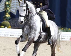 Falk Rosenbauer on the Swedish bred Ramstein (by Rubinrot x Michellino)