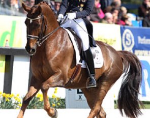 Sanneke Rothenberger and Favourit in the Under 25 competition at the 2013 CDI Hagen :: Photo © Astrid Appels