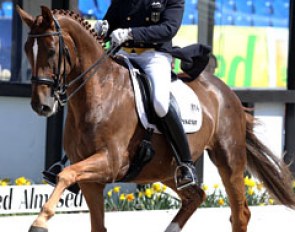 Hubertus Schmidt on the 7-year old Sansolino (by Sir Donnerhall x Rubinstein)