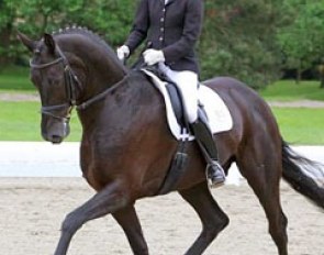 Dora Schomerus on Royal Ascot