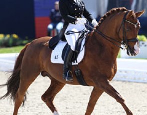 Charlott Maria Schurmann and Burlington at the 2013 CDI Hagen :: Photo © Astrid Appels