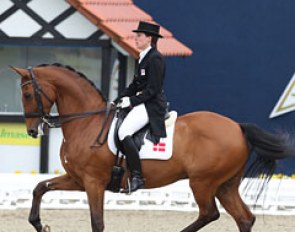 Danish Lisbet Seierskilde on the home bred Raneur. The bay gelding has a tendency to push the neck really high which leads to Seierskilde compromising her seat and hand position. The horse has a wonderful passage though