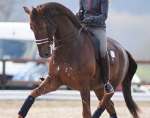 Swedish Maria von Essen on Ferdi (by Federweisser)