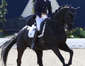 Patricia von Merveldt on the 9-year old Hanoverian gelding Komet (by K2 x Wolkentanz II)