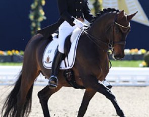 Israeli Eyal Zlatin on Arlette Jasper-Kohl's Dutch bred Silvano (by Rubinstein x Cocktail)